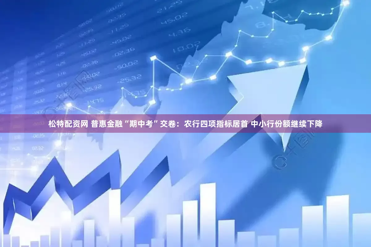 松特配资网 普惠金融“期中考”交卷：农行四项指标居首 中小行份额继续下降